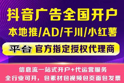 竞价广告的投放策略与效果评估——以一成功企业为例